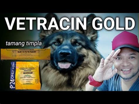 paano gamitin ang vetracin gold|PAANO ANG TAMANG TIMPLA .
